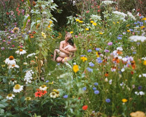 Saul Leiter Photography, Garden Exhibition, Sacred Garden, Saul Leiter, Berenice Abbott, Wild Garden, Streets Of New York, Film Photography 35mm, Forest Cat