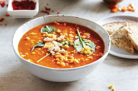 Low Fodmap Vegetables, Spicy Lentil Soup, Fodmap Lunch, Fodmap Friendly Recipes, Canned Lentils, Lentil Soup Recipe, Healthy Food Guide, Lentil Soup Recipes, Low Fodmap Recipes