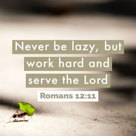 Bible Verse About Work, Bible Verse For Work, Rest Bible Verses Scriptures, Bible Verses About Hard Work, Lazy Bible Verse, Serving Bible Verses, Bible Verses For Laziness, Bible Verse On Laziness, Bible Verse For Laziness