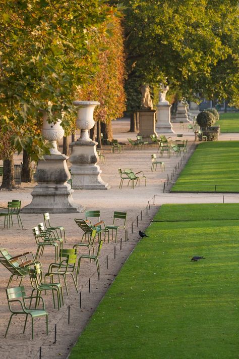 TUILERIES GARDENS PART 1 – AUTUMN AND WINTER — Parisian Moments Tuileries Garden Paris, Paris Locations, Parisian Garden, Paris St Germain, Photo Paris, New Palace, Tuileries Garden, Paris Winter, Luxembourg Gardens