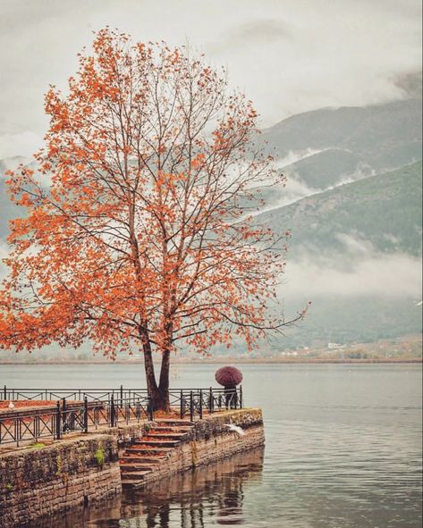 Winter
Tree with orange leaf 
Lake
Cold
Greece
Majestic scenery Greece Winter, Greece Nature, Winter Witch, Places In Greece, The Parthenon, Greece Athens, Western Civilization, The Acropolis, The Cradle