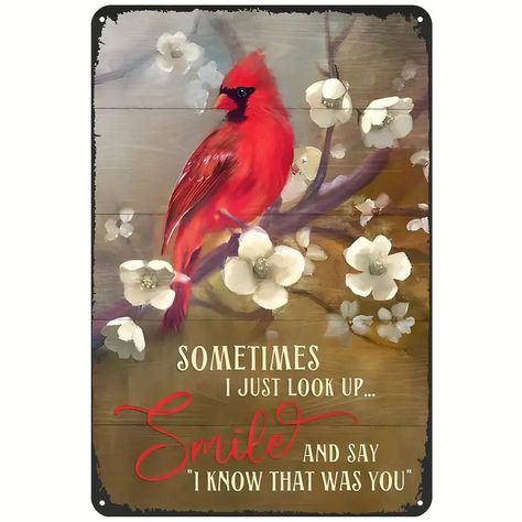 Bird Sometimes Look Smile Say Know Vintage Metal - Temu Canada Cardinal Bird, Sign Wall Decor, Retro Sign, Vintage Tin Signs, Cardinal Birds, Vintage Poster Art, Sign Wall, Metal Homes, Vintage Tin