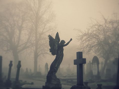 Fold Scarves, Cemetery Angels, Carpe Noctem, Dark Forest Aesthetic, Goth Core, Corpse Party, Gothic Wallpaper, Black Angel, Angel Aesthetic