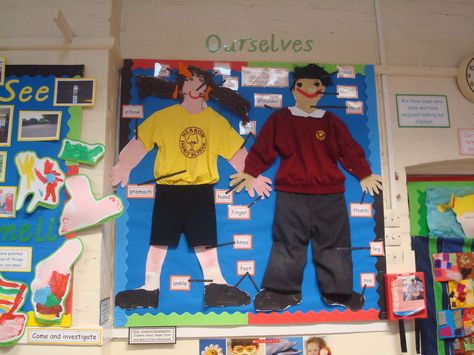 Ourselves Display, classroom display, class display, Ourselves, All About Me, bodies, growth, Early Years (EYFS), KS1 & KS2 Primary Resources All About Me Topic, Science Display, Teaching Displays, Reception Classroom, Eyfs Ideas, Reception Class, Class Displays, School Displays, Classroom Display