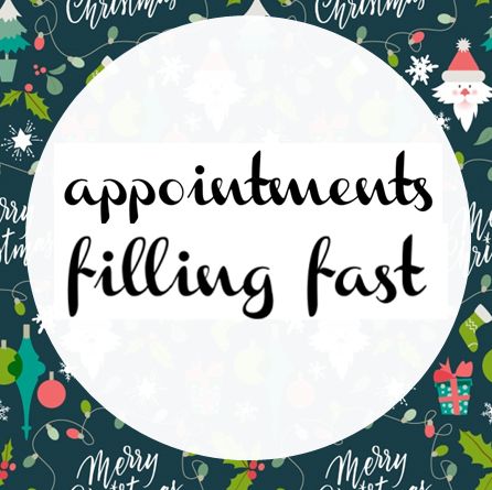 No Appointments Available, No Shows Appointment Quotes, Holiday Appointment Salons, Book Your Christmas Hair Appointment, Book Holiday Appointments Now, Evening Appointments Available, Christmas Appointments Available Salon, Last Minute Opening Available, Christmas Appointments