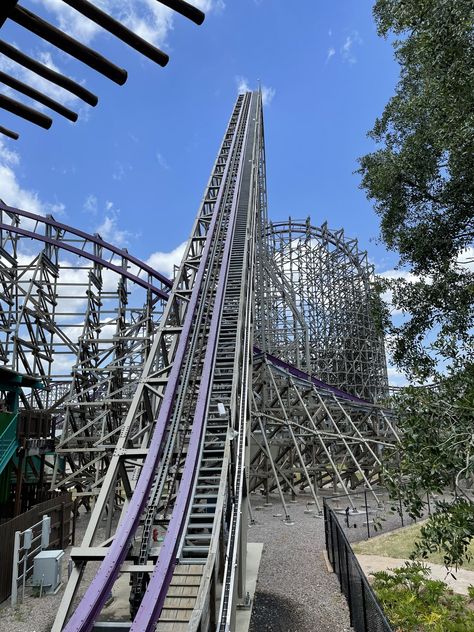 Iron Gwazi, Bush Gardens Tampa, Roller Coaster Park, Fair Lights, Roller Coaster Theme, Busch Gardens Tampa Bay, Scary Farm, Thorpe Park, Bush Garden