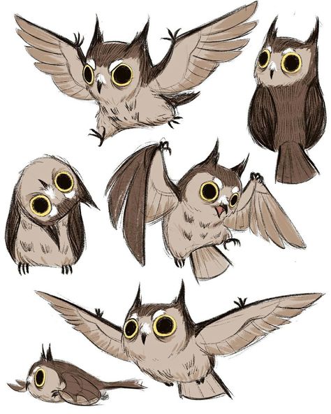 Owl Illustration, Hedge Witch, Owls Drawing, 캐릭터 드로잉, Animal Sketches, Bird Drawings, Creature Concept, Cute Animal Drawings, Move Forward