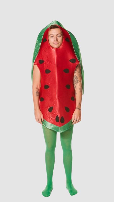 #LOL Snl, Connect With People, Your Aesthetic, Creative Energy, Harry Styles, Watermelon, Energy