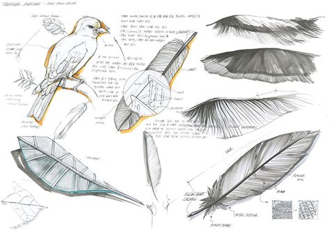 Vacuum Duster Dustroyer: Design Concept Sketch on Behance Furniture Concept Sketch, Nature Inspired Architecture Concept, Biomorphic Architecture Concept, Biomimicry Design Products, Design Concept Sketch, Biomimicry Design, Tech Graphics, Biomimicry Architecture, Field Sketch