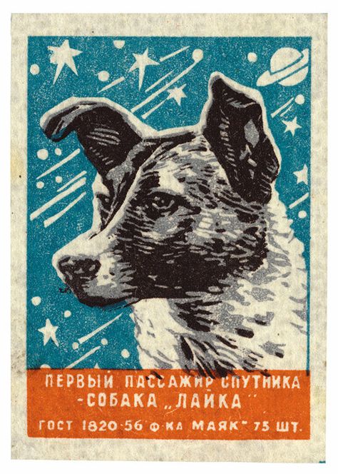 Soviet Space Dogs, Belka And Strelka, Laika Dog, Haunting Stories, Space Dog, Gray Owl, Dog Books, Space Race, Arte Sketchbook