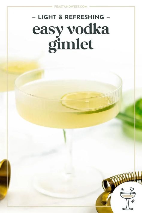 Make a classic Vodka Gimlet cocktail with lime juice, simple syrup and your favorite vodka for a light & bright version of the classic drink. Best Mixers For Vodka, Best Vodka Mixers, Vodka Gimlet Recipe, Gin Gimlet, Vodka Gimlet, Gimlet Recipe, Gimlet Cocktail, Raspberry Vodka, Tasty Drinks