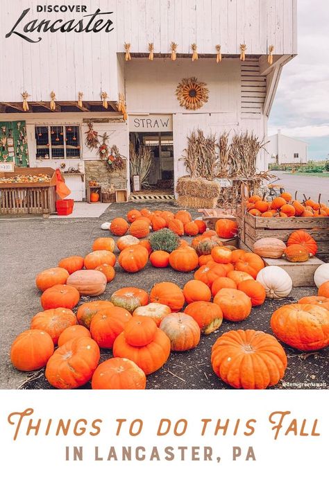 Check out some fall fun this season in Lancaster County, PA! Lancaster Central Market, Amish Pennsylvania, October Events, Best Pumpkin Patches, Pennsylvania Travel, Lancaster County Pa, Fall Festivals, Farm Fun, Autumn Weekend