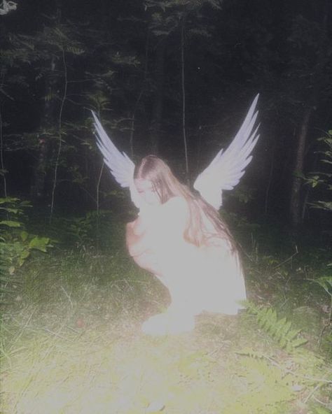 August 19, An Angel, In The Woods, At Night, Forest, Angel, On Instagram, Instagram