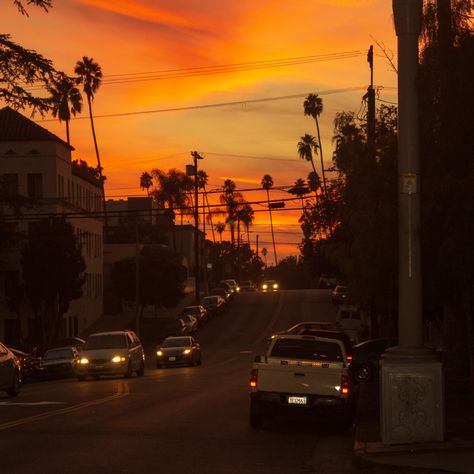 A street at sunset in Los Angeles, California (September 27th, 2018) La Streets Aesthetic, Los Angeles Streets, Los Angeles Sunset, Firefighter Brotherhood, La Aesthetic, Firefighter Training, Los Angeles Street, Los Angeles Photography, Car Aesthetics