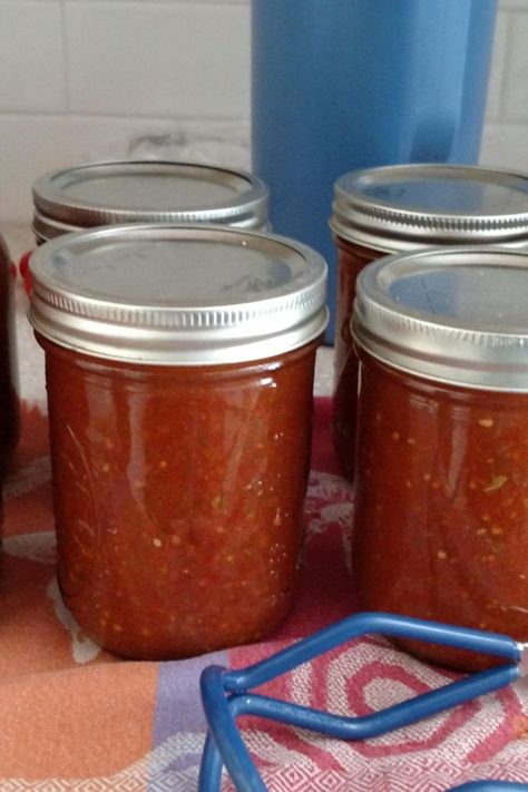 NO PEEL Tomato Sauce Recipe Canning Tomato Recipes Ideas, No Peel Tomato Sauce, Roma Tomato Recipes, Making Spaghetti Sauce, Spaghetti Tomato Sauce, Canning Tomatoes Recipes, Tomato Harvest, Canned Spaghetti Sauce, Easy Canning