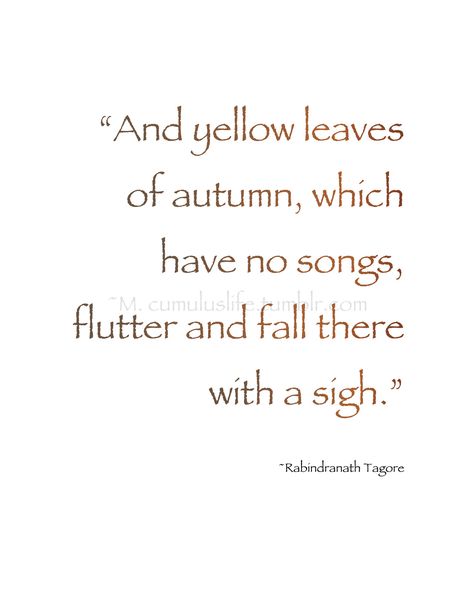 Rabindranath Tagore, Bare Tree, Author Quotes, Seasonal Garden, Fall Feels, Autumn Painting, Soothing Sounds, Autumn Beauty, Yellow Leaves