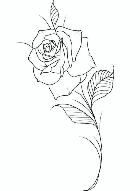 Chicano Rose Tattoo, Tattoo Peito, Tattoo Bible, Dragon Tattoo Drawing, Rose Tattoo Stencil, Ancient Persian Art, Etching Tattoo, Lilies Drawing, Lily Flower Tattoos