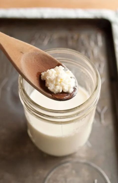 Kefir - o que é, quais os benefícios e como fazer esse probiótico milenar Milk Kefir Recipes, Tim Spector, Kefir Benefits, Fermented Dairy, Fermented Milk, Kefir Recipes, Kefir Grains, Milk Kefir, Fermented Drink