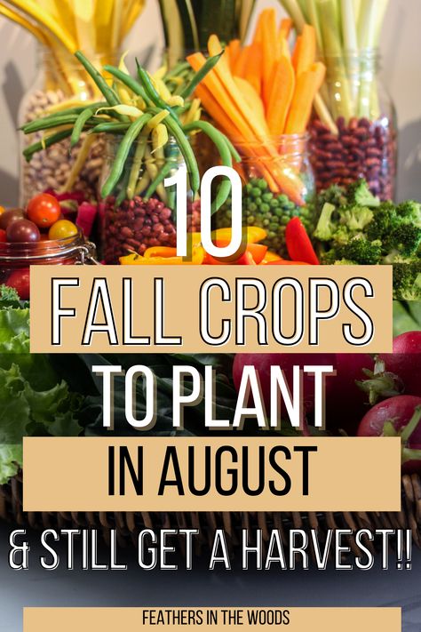 10 different vegetables to plant in August Fall Crops Vegetable Garden Zone 7, Zone 6b Fall Planting, Fall Seeds To Plant, Fall Crops Vegetable Garden, Fall Garden Ideas, Fall Vegetables To Plant, Fall Crops, August Garden, Fall Gardening