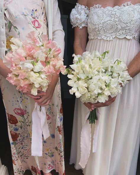 These sweet pea bridal bouquets may be simple but the fragrance is intoxicating and I can't get enough of them! #sweetpea #bridalbouquets #fragrance #simplebouquet #sweetpeabridalbouquets #summerflorals #weddingflowers #countrywedding Sweetpea Bouquet Wedding, Sweetpea Bouquet, Sweet Pea Bridal Bouquet, Sweet Pea Wedding Bouquet, Sweet Pea Wedding Flowers, Sweetpea Flower, Sweet Pea Bouquet, Sweet Pea Flowers, Be Simple