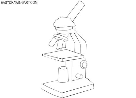 How to Draw a Microscope Compound Light Microscope Drawing, How To Draw Microscope, Light Microscope Drawing, Microscope Drawing Easy, Microscope Drawing With Label, Draw A Microscope, Microscope Sketch, Microscope Tattoo, Bio Diagrams