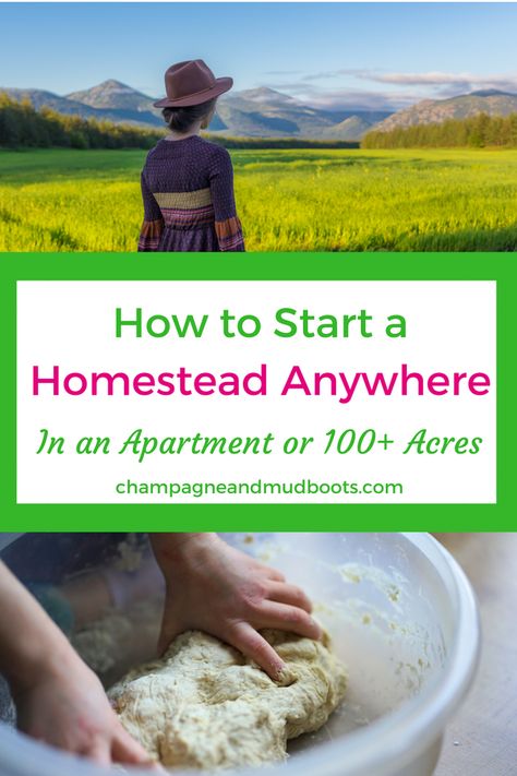 How to Start Homesteading in an Apartment or on Acreage - Champagne and Mudboots Homesteading Diy, Vertical Farming, Homesteading Skills, Urban Homesteading, Homestead Survival, Organic Gardening Tips, Backyard Farming, Urban Farming, Off Grid Living