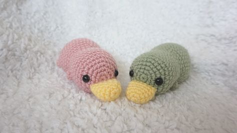 Platypus Crochet Pattern, Crocheted Stuffed Animals, Crochet Aesthetic, Pola Amigurumi, Crochet Animals Free Patterns, Crochet Design Pattern, Kawaii Crochet, Crochet Amigurumi Free Patterns, Beginner Crochet Projects