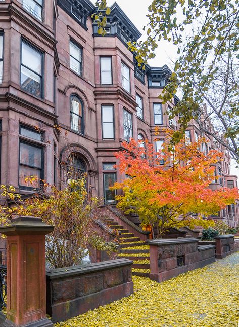 Park Slope, Brooklyn autumn colors | Noel Y. Calingasan (nyclovesnyc) | Flickr College Core, November Autumn, Park Slope Brooklyn, Nyc History, Brooklyn Park, Late November, Park Slope, Nyc Aesthetic, Scenic Photos