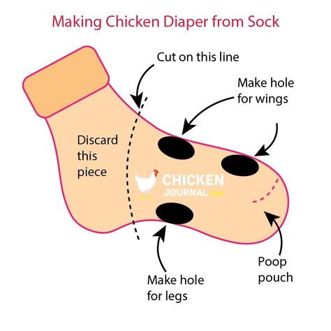 Chicken Diapers 101: Benefits, DIY Ideas, Do You Need It? Indoor Chicken Pet, Duck Diapers Diy, Chicken Accessories Diy, Duck Diapers Pattern, Chicken Diapers Pattern, Indoor Chicken Coop Ideas, Pet Chicken Ideas, Chicken Hutch, Chicken Hacks