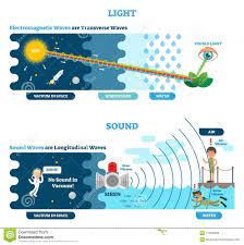 Longitudinal And Transverse Wave Type, Vector Illustration Scientific Diagram. Sonic And Visual Perception Principle. Stock Vector - Illustration of pattern, light: 112486262 Transverse Wave, Pelajaran Ipa, Basic Chemistry, Longitudinal Wave, Physics Lessons, Middle School Science Experiments, Physics Formulas, Scientific Diagram, Physics Notes