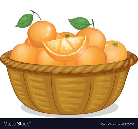 Basket of oranges Royalty Free Vector Image - VectorStock Diy Abstract Canvas Art, Food Illustration Art, Health And Fitness Magazine, Good Notes, Paint Shop, Abstract Canvas Art, Food Illustrations, Fruits And Vegetables, New Recipes