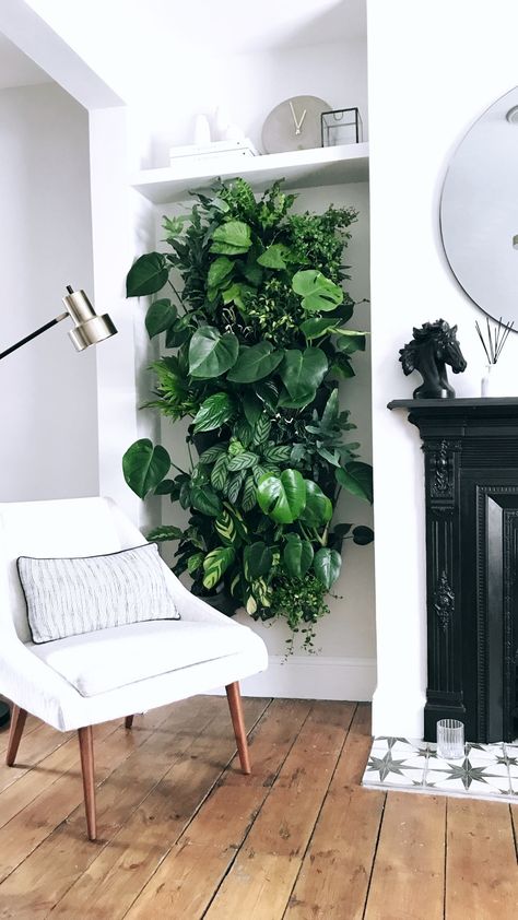 Living Plant Wall, End Of Hallway, Vertical Plant Wall, Plants Living Room, Living Wall Indoor, Tall Indoor Plants, Indoor Plant Wall, Living Wall Art, Indoor Trees