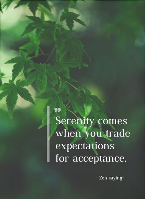 Serenity comes when you trade expectations for acceptance. - Zen saying) Zen Proverbs, Draw Wings, Quitting Quotes, Buddha Quotes Life, Zen Philosophy, Short Meaningful Quotes, Zen Moments, Zen Quotes, View Quotes