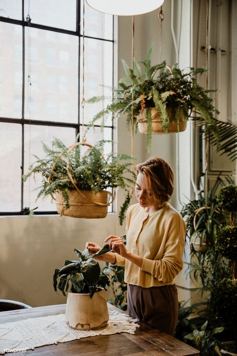 Woman taking care of her plants in a glasshouse | premium image by rawpixel.com / McKinsey Pine Nut Salad, Nut Salad, Tattoo Plant, Pine Nut, Light Pink Sweaters, Delicious Magazine, Florist Shop, Plant Photography, Plant Aesthetic