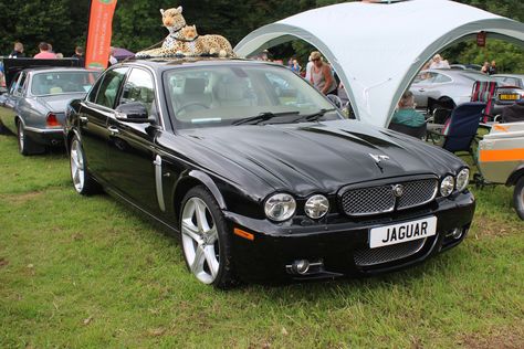 Jaguar Face, Jaguar Logo, Door Mirrors, Classic Car Show, Jaguar Xj, Jaguar Car, Amazing Views, Mirror Door, Car Show