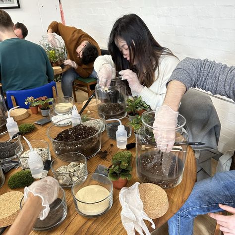 Get ready for a green adventure! Join us on 6th July for our upcoming Terrarium Workshop. 🎉 Dive into the world of plant crafting and create your own mini oasis. Spaces are limited, so reserve yours today! . . . #TeamBuildingLondon #TeamBuilding #TerrariumWorkshop #DIYTerrarium #TerrariumCreation #WorkshopLondon #Terrarium #TerrariumLove #ClosedTerrarium #CityEscape #NewHobby #Terrarium #Terrariums #TerrariumArt #GiftIdea #WorkshopLondon Terrarium Workshop, Green Adventure, Plant Crafts, Terrarium Diy, New Hobbies, Join Us, Terrarium, Oasis, Create Your