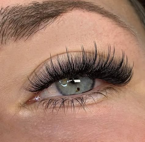 Strip Lash Effect Extensions, Lash Extension Strip Lashes, Textured Eyelash Extensions, Textured Lash Extensions, Different Eyelash Extension Styles, Eye Lash Extensions Styles, Strip Lash Extensions, Wispy Lash Extensions, Color Lashes