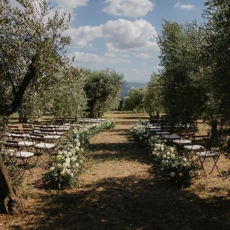 Events & Weddings — London & beyond on Instagram: "Olive grove fantasy 🤍 I’ve always wanted to put together a ceremony in the olive garden, muted greens and subtle light streaming through moving leaves… now that’s a reality, I’m set to create an unforgettably romantic dinner setting there… any takers? 🤍 Can’t wait for more projects in Italy next year, there’s a special magic there, wherever you go ✨ Photo: @vlasta.weddings Planning: @theweddingblissthailand Floral design: @copihue_floral_s Olive Trees Wedding Ceremony, Wedding In Olive Grove, Olive Grove Wedding Ceremony, Olive Garden Wedding, Olive Grove Wedding, Corfu Wedding, Romantic Dinner Setting, Tree Wedding Ceremony, Olive Orchard