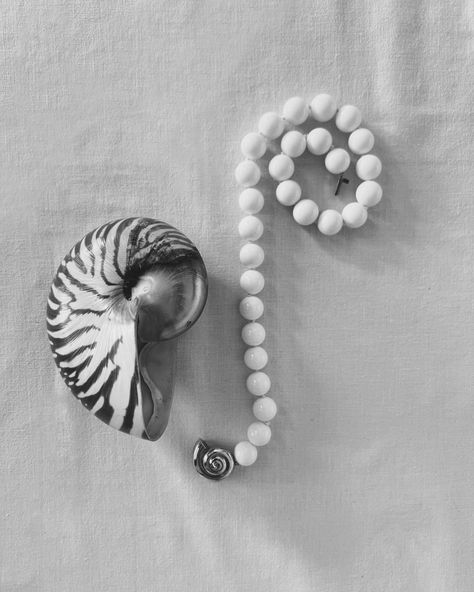 The Nautilus Shell Collar - made of natural shell beads 🦪 #lesundial | Instagram The Nautilus, Sculptural Jewelry, Nautilus Shell, Shell Beads, Nautilus, Jewelry Vintage, Vintage Jewelry, Shells, Sculpture