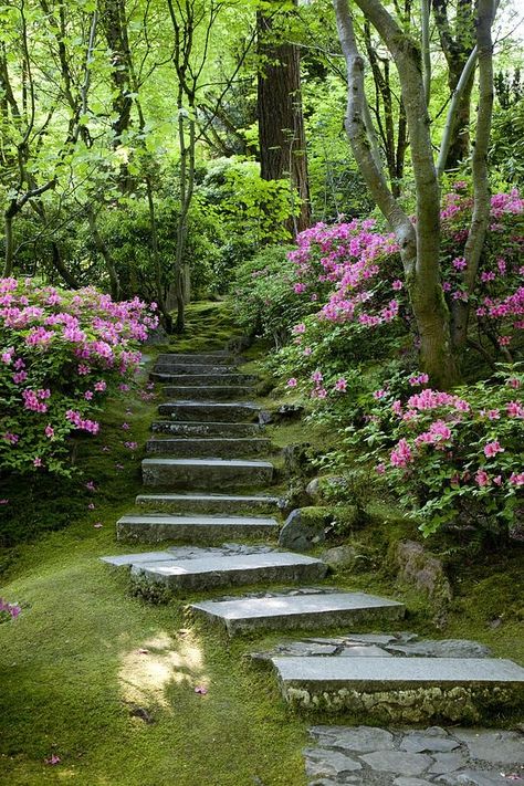 Taman Vintage, Garden Stairs, Garden Steps, The Secret Garden, Garden Pathway, Green Forest, Garden Cottage, Alam Yang Indah, Nature Aesthetic