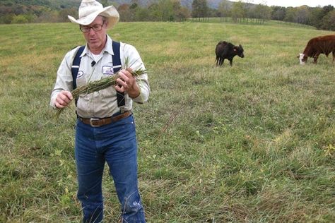 Joel Salatin advocates a better way to raise food - CSMonitor.com Joel Salatin, A Chicken, Knights, Farmer, Chicken