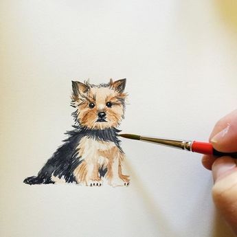 Yorkie Painting, Yorkie Art, Top Dog Breeds, Yorkie Terrier, Animals Watercolor, Tattoo Dog, 강아지 그림, Yorkshire Terrier Puppies, Yorkshire Terriers