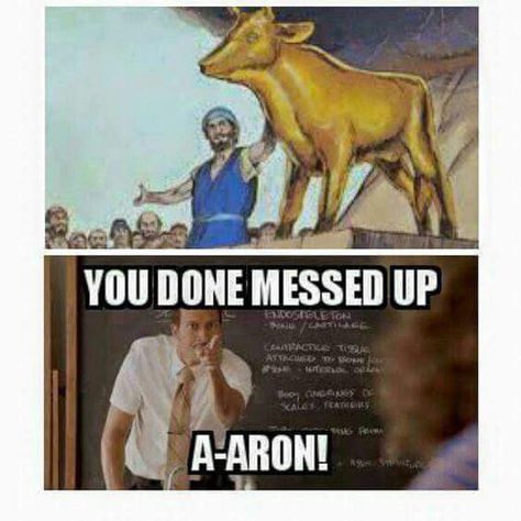 Golden calf "You done messed up, A-ARON!" Funny Church Memes, Bible Jokes, Jesus Meme, Christian Thoughts, Lds Memes, Jw Humor, Church Memes, Catholic Humor, Church Humor