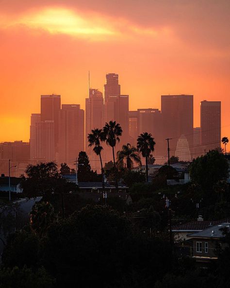 La Skyline Aesthetic, Scott Core Aesthetic, Los Angeles Wallpaper, Los Angeles Aesthetic, Los Angeles Travel, California Vibe, Tall Buildings, Los Angeles Usa, City Of Angels