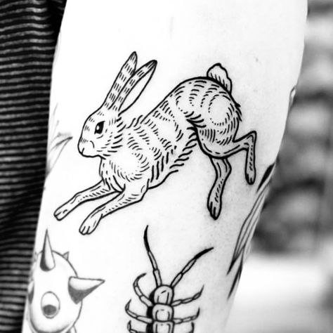 Traditional Tattoo Rabbit, Acme Tattoo, Desert Tattoo, Woodcut Tattoo, Rabbit Tattoo, Traditional Tattoo Flowers, Engraving Tattoo, Bottle Tattoo, Bunny Tattoos