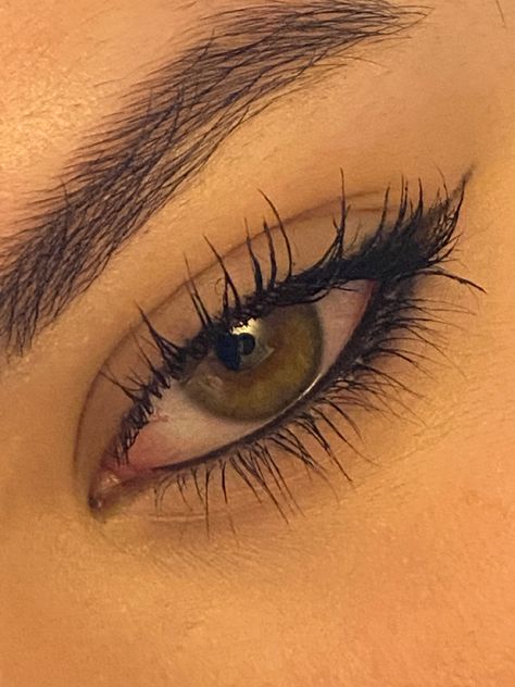 Beautiful Eyes Color, Pics For Dp, Funny Study Quotes, Best Poses For Pictures, Aesthetic Eyes, Easy Trendy Outfits, Makeup Goals, Poses For Pictures, Simple Makeup