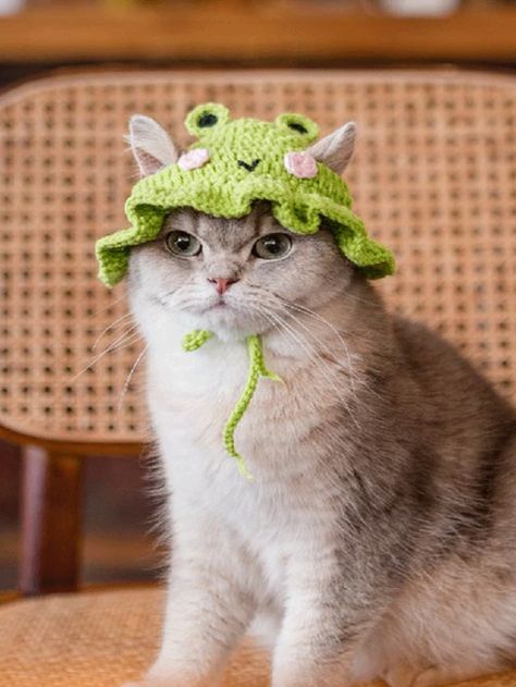 1pc Frog Design Knitted Pet Hat | SHEIN UK Christmas Party Costume, Animal Photoshoot, Crochet Cat Hat, Frog Hat, Birthday Party Accessories, Chat Kawaii, Winter Cat, Knitted Cat, Frog Design