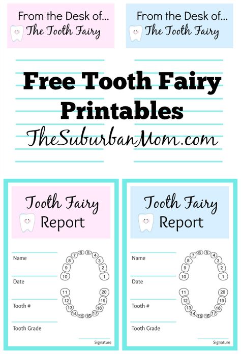 Tooth Fairy Ideas And Free Printables | TheSuburbanMom Tooth Fairy Ideas, Tooth Fairy Note, Building Memories, Tooth Fairy Receipt, Tooth Fairy Letter, Fairy Ideas, Sublimacion Ideas, Kids Teeth, Lost Tooth