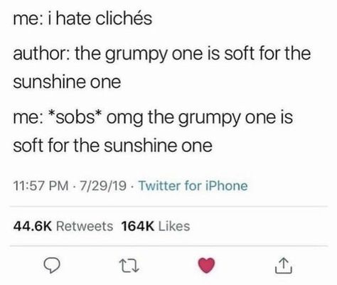 Grumpy Sunshine Prompts, Reverse Grumpy X Sunshine Aesthetic, Grumpy X Sunshine Trope, Sunshine X Grumpy, Grumpy X Sunshine Aesthetic, Grumpy Quotes, Sunshine Aesthetic, Winter Heart, Grumpy X Sunshine