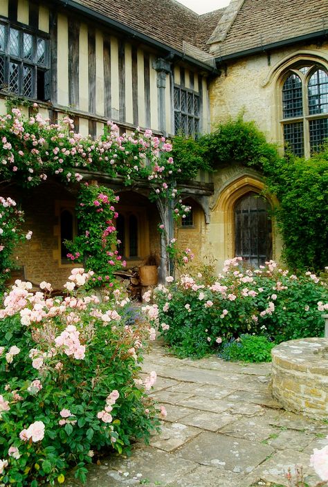 Great Chalfield Manor near Melksham in Wiltshire. Chalfield Manor, Stately Homes, English Manor, Manor Houses, Country Houses, Cottage Core Aesthetic, Stately Home, National Trust, English Cottage